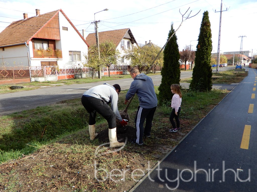 Közösségi faültetés Berettyóújfaluban 60